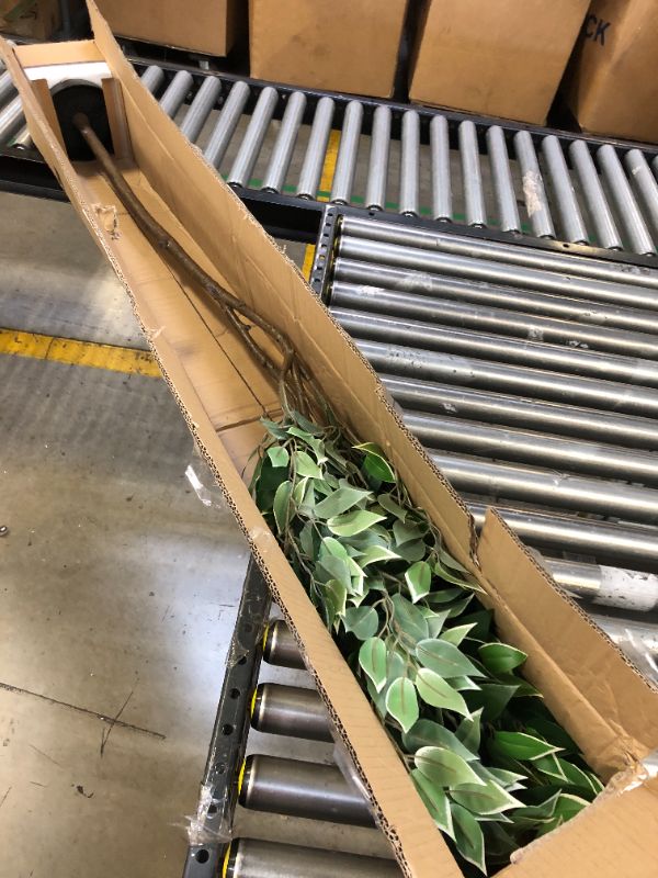 Photo 1 of Amazon Basics Artificial Ficus Tree Fake Plant with Plastic Planter Pot, 63-Inch 63" Ficus Tree