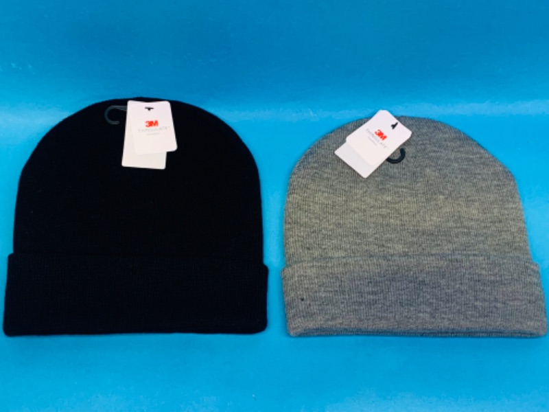 Photo 1 of 985782… 2 thinsulate 3M beanies - one size