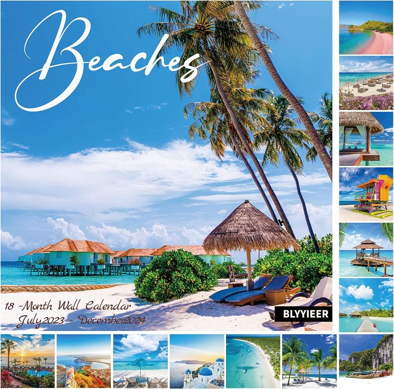 Photo 1 of Calendar 2023-2024 - Wall Calendar 2023-2024, 18-Month Wall Calendar 2023, Jan. 2023 -Jun. 2024, 12" x 24" (Open), Unruled Blocks with Thick Paper - Coconut Tree Sky Blue ( PACK OF 3) 