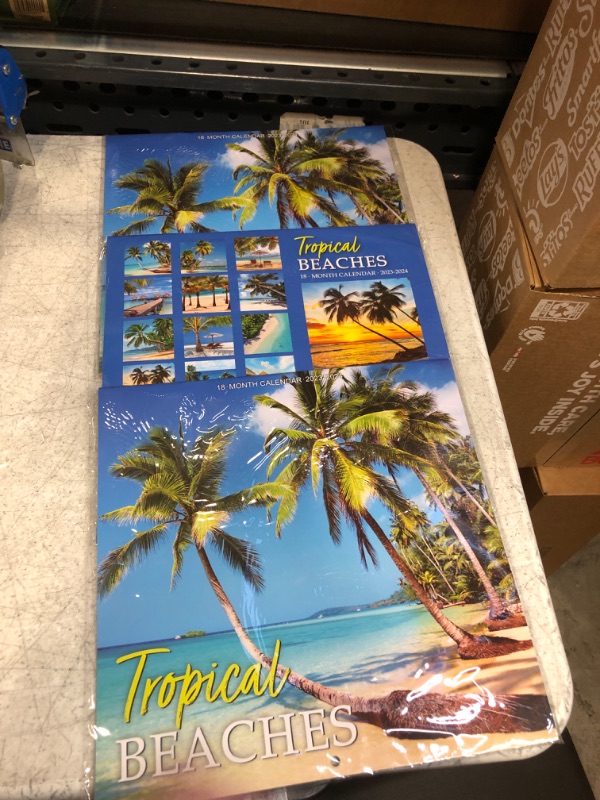 Photo 2 of Calendar 2023-2024 - Wall Calendar 2023-2024, 18-Month Wall Calendar 2023, Jan. 2023 -Jun. 2024, 12" x 24" (Open), Unruled Blocks with Thick Paper - Coconut Tree Sky Blue ( PACK OF 3) 