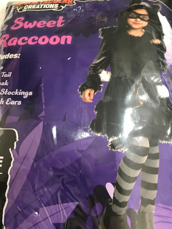 Photo 1 of fun world costumes sweet raccoon small