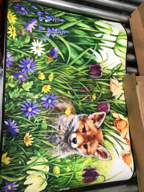 Photo 1 of 36x24in Indoor Floormat with Fox Design