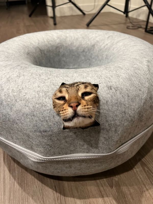 Photo 1 of  1 Cat Tunnel Bed Attractive Cat Tunnel Toy Indoor Kitten Cats Round Cave Nest Soft Sleeping Bed House For Small Dogs Cats
