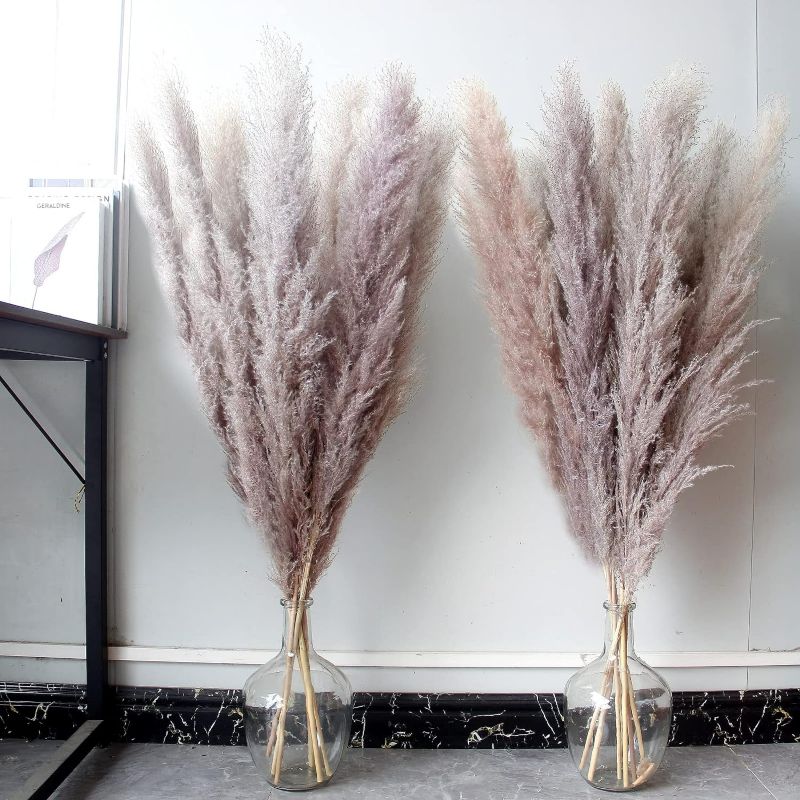 Photo 1 of (READ FULL POST) 46" inch 10 Stems White Pampas Grass Decor Tall, Dry Flowers for Floor Vases Decor, Natural Dried Flowers for Wedding, Natural Home Decor, Wall Grass, Glam Decor 46inch tall pampas grass-D