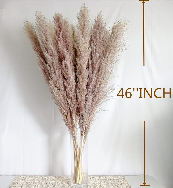 Photo 2 of (READ FULL POST) 46" inch 10 Stems White Pampas Grass Decor Tall, Dry Flowers for Floor Vases Decor, Natural Dried Flowers for Wedding, Natural Home Decor, Wall Grass, Glam Decor 46inch tall pampas grass-D