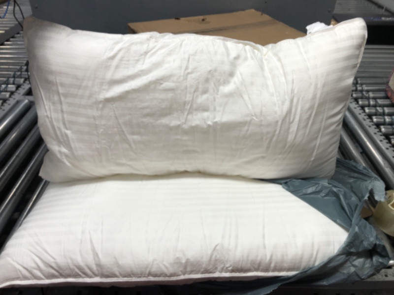 Photo 1 of 2Pc White Standard Pillows