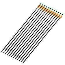 Photo 1 of ANTSIR 12Pcs/lot Fiberglass Arrow 30'' inch Archery Hunting Nock Proof Fiberglass Arrow Steel Point 30-80lbs For Recuve & Compound Bow
