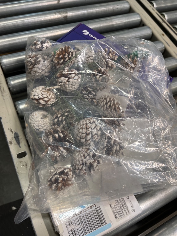 Photo 2 of 10 Pieces Christmas Pine Cones Decorations Picks - Snow Pine Cone for Xmas Tree Garland Wreath Ornaments Pinecones Decorating Winter Holidays Home
