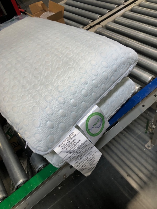 Photo 1 of 2 Pillows 