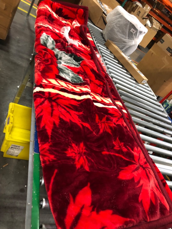 Photo 1 of  Mink Blanket Queen Size (, 10 lbs) -2 Ply 2 Sides Printed Soft Thick Reversible Plush Heavy Fleece Blanket for Bed, Red Rose Rose/Red Queen