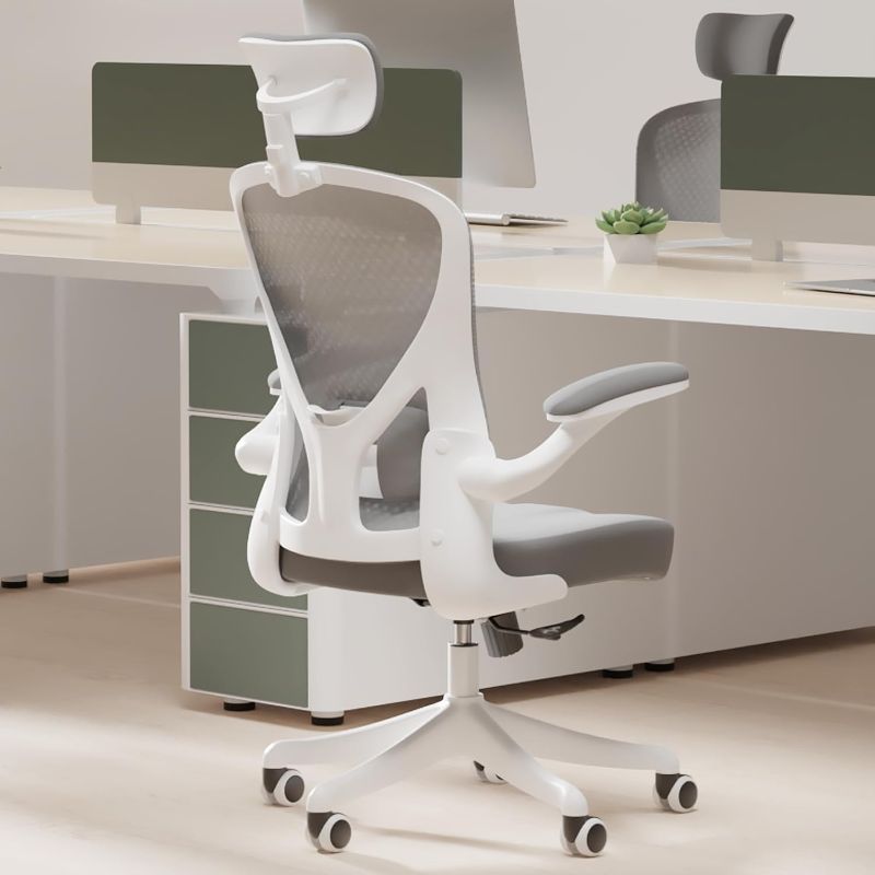 Photo 1 of SICHY AGE Ergonomic Office Chair Home Desk Office Chair with Flip-Armrest & Cushion for Lumbar Support, high Back Computer Chair with Thickened Cushion Desk Chairs Gray
