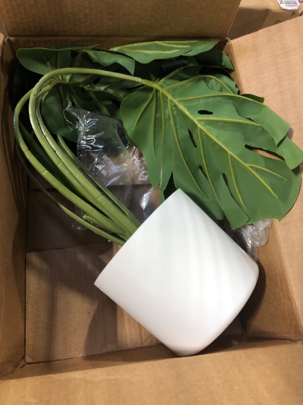 Photo 3 of Serene Spaces Living Real Looking Artificial Monstera Plant in Cement Pot, Medium Sized Faux Plant for Indoor Decor, Green Potted Plant, Measures 21 Inches Tall, Sold Individually Medium Tropical Monstera Plant