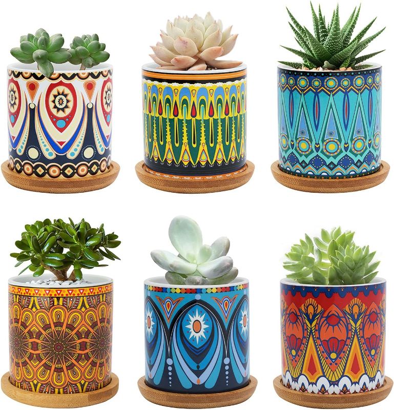 Photo 1 of Warmplus Succulent Pots, 3 inch Mandala Planter Pot with Drainage and Bamboo Tray, Small Pots for All House Plants, Succulents, Flowers, Cactus, Pack of 6 - Plants Not Included