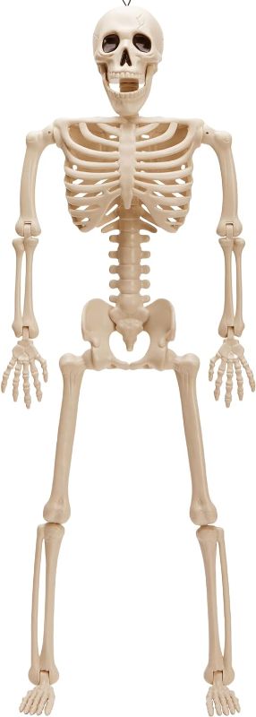 Photo 1 of 
 Small Halloween Skeleton Pose-N-Stay Full Body Plastic Bone with Posable Joints for Halloween Party Decoration Photo Prop Indoor and Outdoor Use
