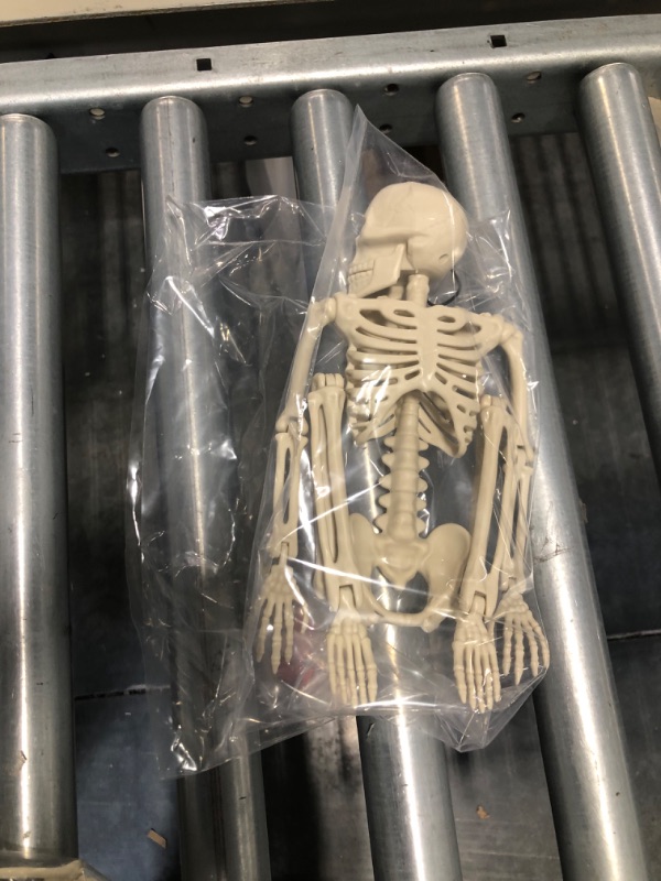 Photo 3 of 
 Small Halloween Skeleton Pose-N-Stay Full Body Plastic Bone with Posable Joints for Halloween Party Decoration Photo Prop Indoor and Outdoor Use
