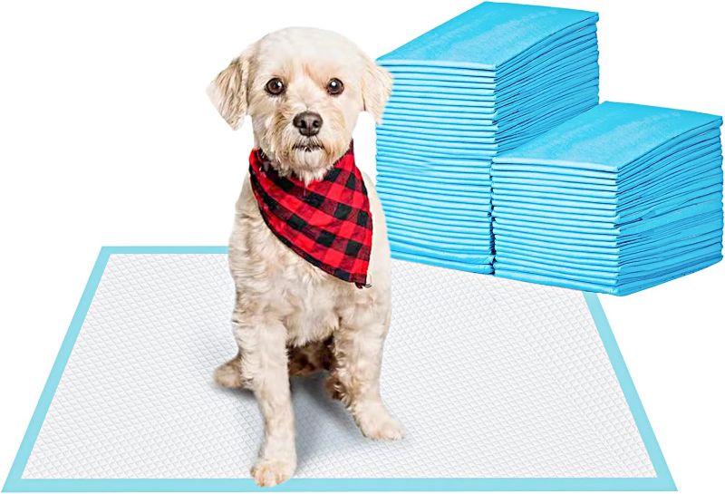 Photo 1 of Amazon Basics Leak-Proof, 5-Layer, Scented Dog Pee Pads for Potty Training, 22x22 inches Regular Scented