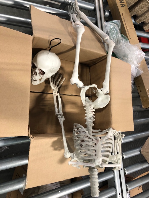 Photo 3 of Crazy Bonez Poseable Skeleton Decoration, 36"