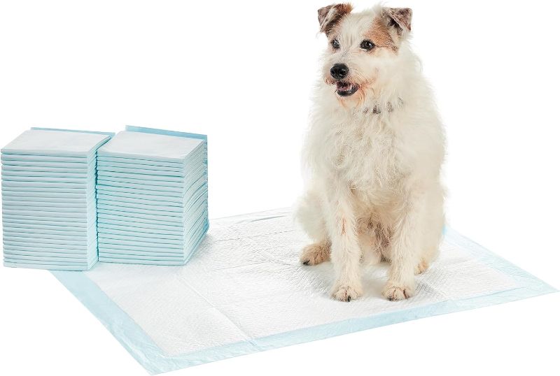 Photo 1 of Amazon Basics Dog and Puppy Pee Pads with Leak-Proof Quick-Dry Design for Potty Training, Heavy Duty Absorbency, X-Large, 28 x 34 Inches, Pack of 50, Blue & White
