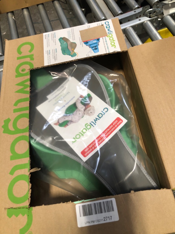 Photo 1 of Crawligator (Sage)