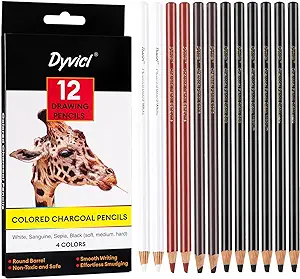 Photo 1 of Dyvicl Colored Charcoal Pencils Drawing Set, 12 Pieces Black White Charcoal Pencils for Drawing, Sketching, Shading, Blending, Pastel Chalk Pencils for Beginners and Artists 
