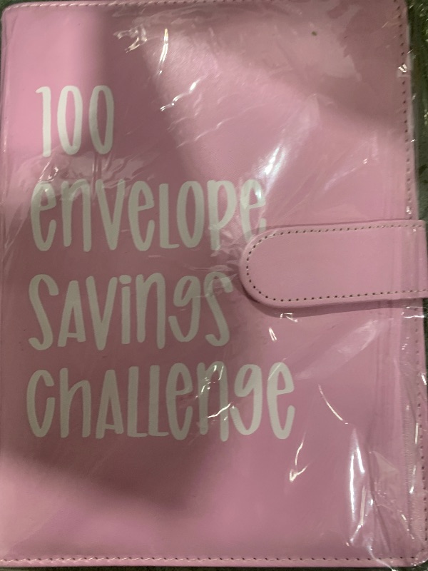 Photo 1 of 100 ENVELOPE SAVINGS CHALLENGE 