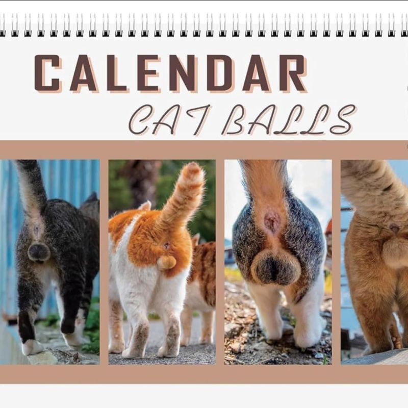 Photo 1 of Cat Ball Calendar 2024-12 Months of Hilarity from January to December! Perfect Gifts Pranks and Wall Art Decor for Cat Lovers and Home Offices
