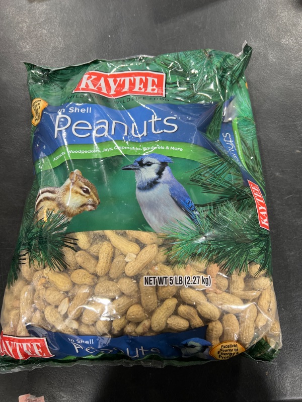 Photo 2 of Kaytee Peanuts in Shell for Squirrels, Woodpeckers, Nuthatches, Jays, Towhees, Cardinals, Indigo Buntings, and Other Wild Birds, 5 Pound