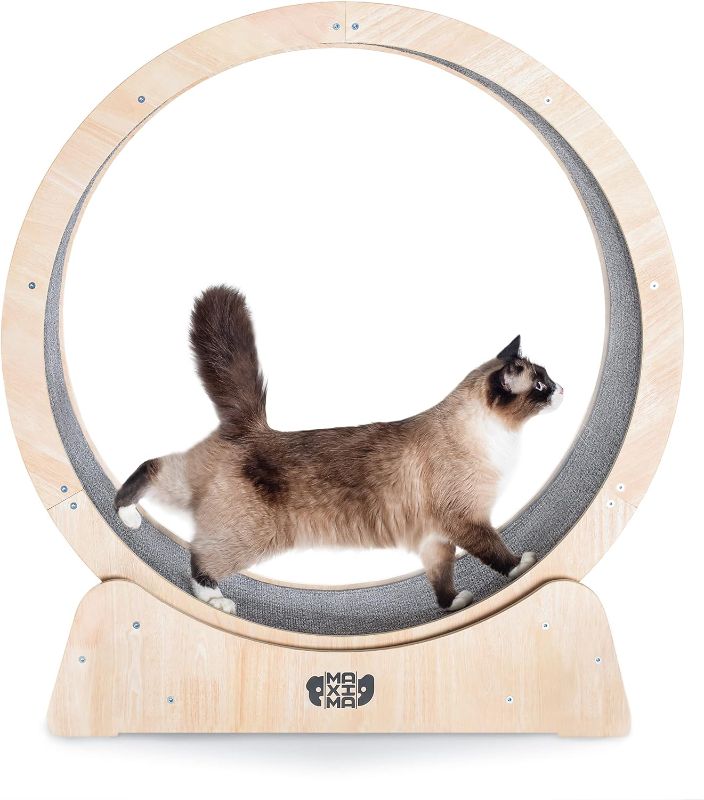 Photo 1 of MAXIMA Cat Exercise Wheel 35" Assembly Video Included -Australian Brand- Organic Wooden Materials, Indoor Cat Treadmill
