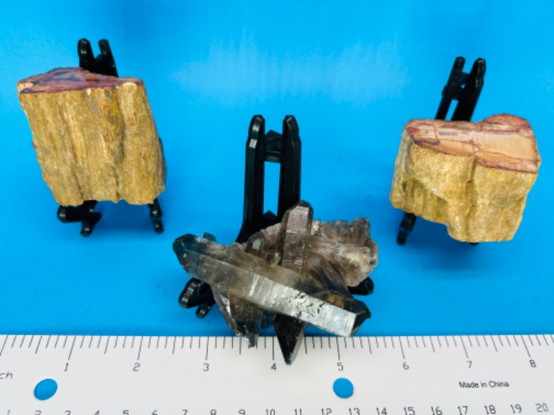 Photo 1 of 150218…2 petrified wood chunks and smokey quartz rock on stands 