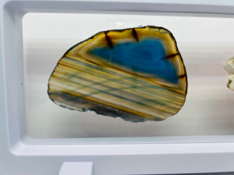 Photo 2 of 150219…2 agate slices in display stand  4 x 9 “