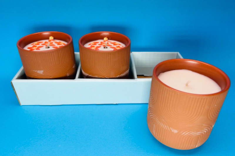 Photo 1 of 150248…3 passion fruit petals candles in terra cotta 