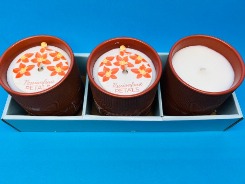 Photo 2 of 150248…3 passion fruit petals candles in terra cotta 