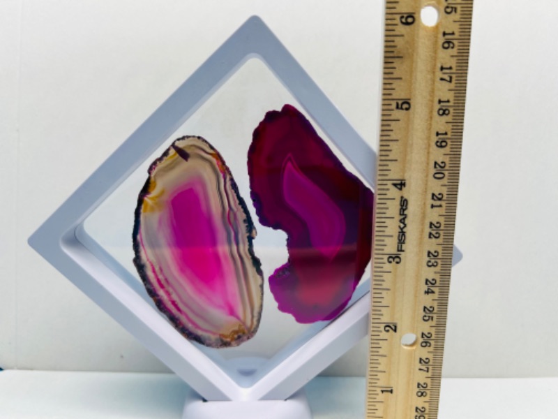 Photo 2 of 150734…2 agate slices in 4 x 4” display 
