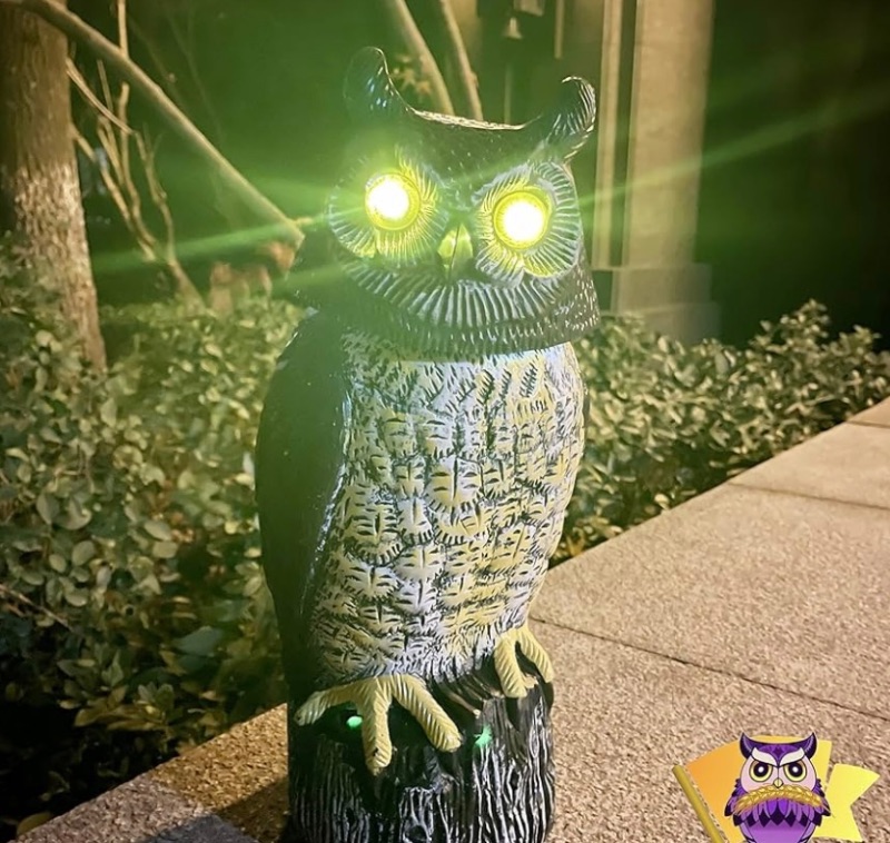 Photo 3 of 150758…solar motion owl 16” with rotating head,  sounds, light up eyes for bird/animal deterrent 