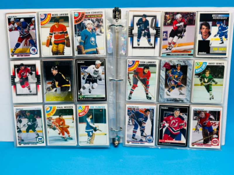 Photo 8 of 151474…final sale no returns no refunds -288 mixed hockey trading cards in binder-picture of each page