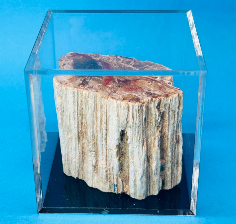 Photo 1 of 151504…petrified wood chunk in 3x3” acrylic case