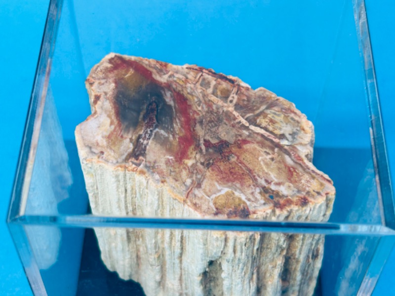 Photo 3 of 151504…petrified wood chunk in 3x3” acrylic case