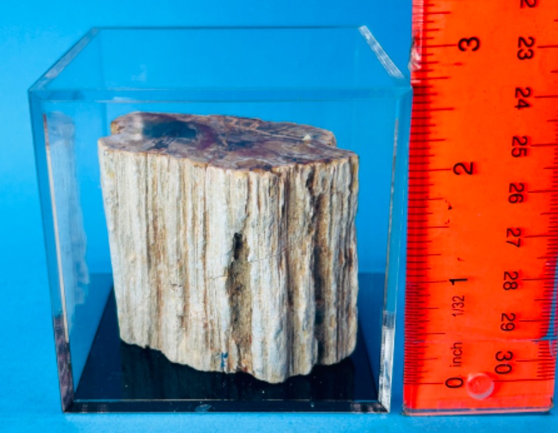 Photo 4 of 151504…petrified wood chunk in 3x3” acrylic case