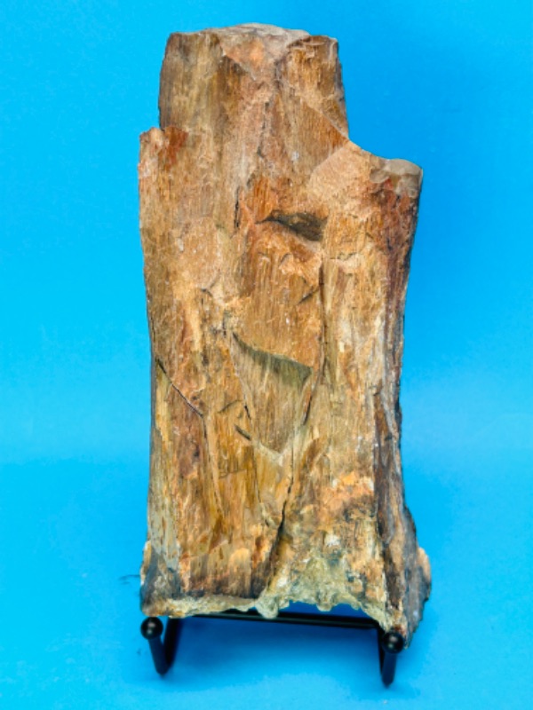 Photo 3 of 151584…large 7” petrified wood chunk with stand 