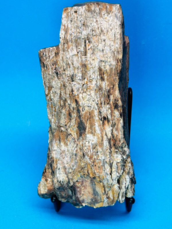 Photo 4 of 151584…large 7” petrified wood chunk with stand 