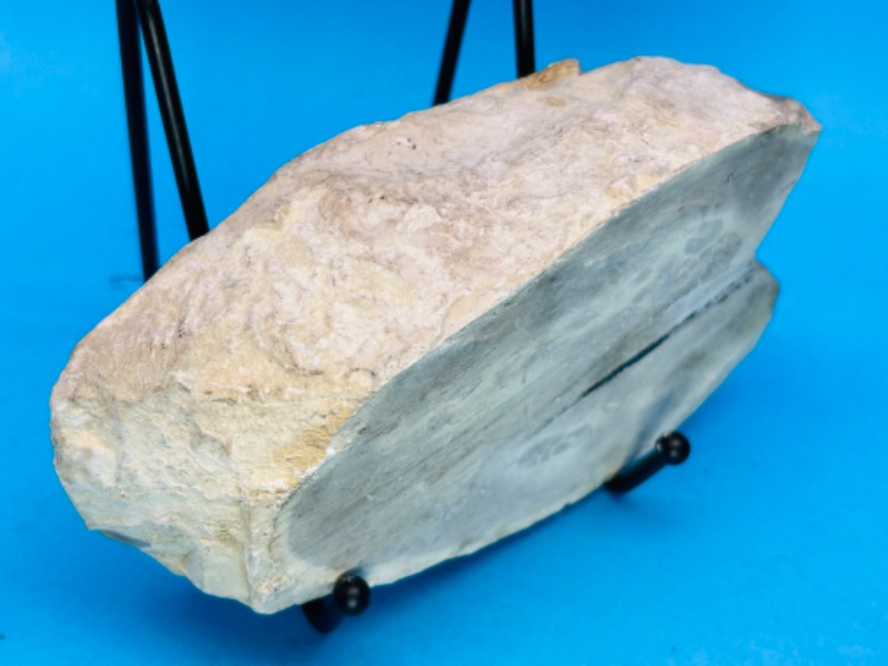 Photo 3 of 151591…6” petrified wood chunk on stand 