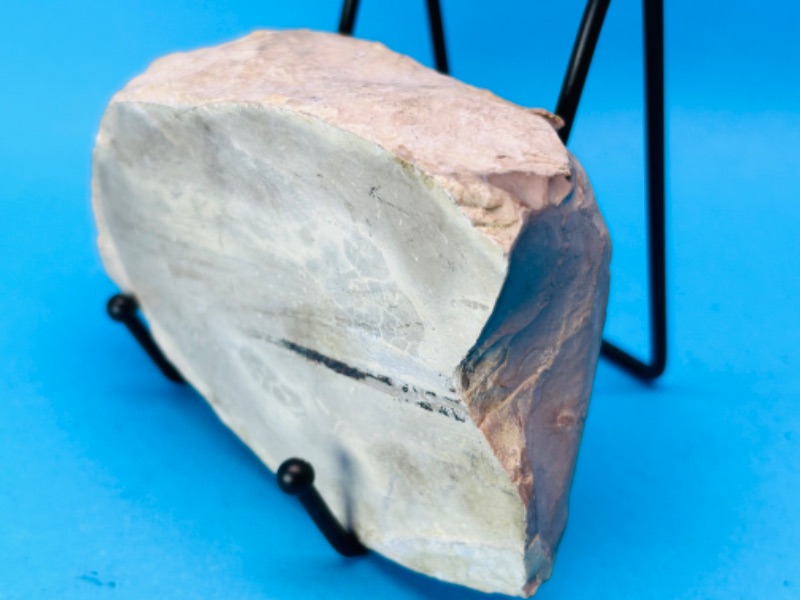 Photo 1 of 151591…6” petrified wood chunk on stand 