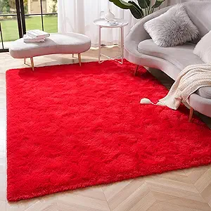 Photo 1 of  Soft Fluffy Area Rug