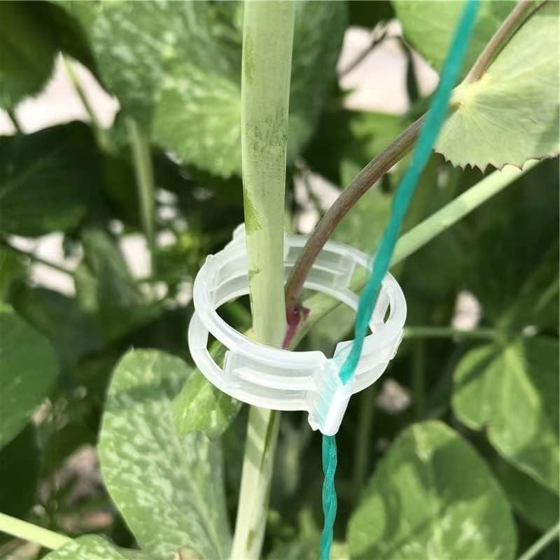 Photo 1 of Piteno® 300Pcs Tomato Clips, Plastic Trellis Clips, Plant Support Clips, Grape Vine Tomato Vine Vegetables Plants Garden Support Clips to Grow Upright Makes Plants Healthier