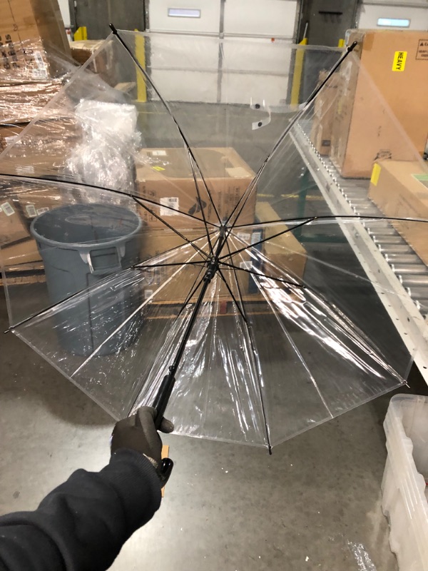 Photo 3 of  Clear Umbrella Auto Open