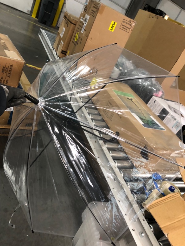 Photo 1 of  Clear Umbrella Auto Open
