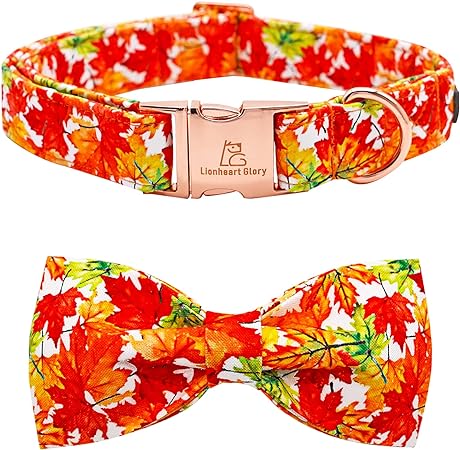 Photo 1 of Lionheart Glory Premium Dog Collar, Bow Tie Dog Collar, Heavy Duty Adjustable Dog Collar, Fall Dog Collar for Large Dogs, Maple Leaf Dog Collar, Bow Dog Collar
