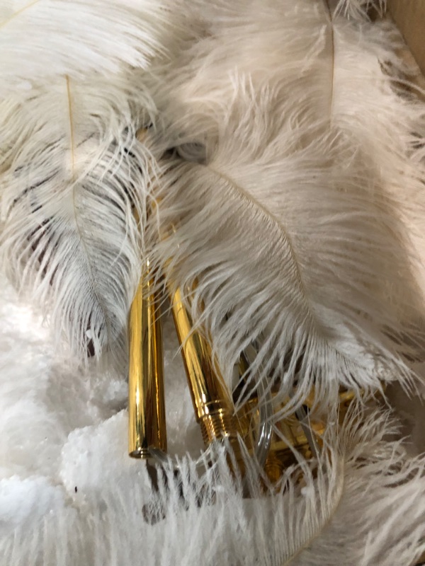 Photo 2 of **SEE NOTES**
AKEFG Natural Ostrich Feather Floor lamp ,Standing Light with Gold Finish ,Feather Lamps (White)