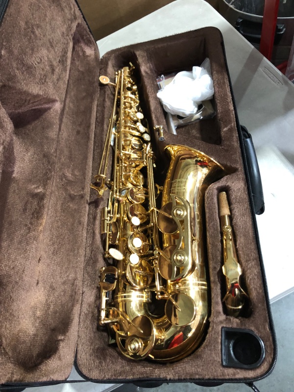 Photo 2 of (PARTS ONLY)EASTROCK Alto Saxophone Gold E Flat Sax Full Kit for Students Beginner with Carrying Case,Mouthpiece,Mouthpiece Cushion Pads,Cleaning Cloth&Cleaning Rod,White Gloves,Neck Strap