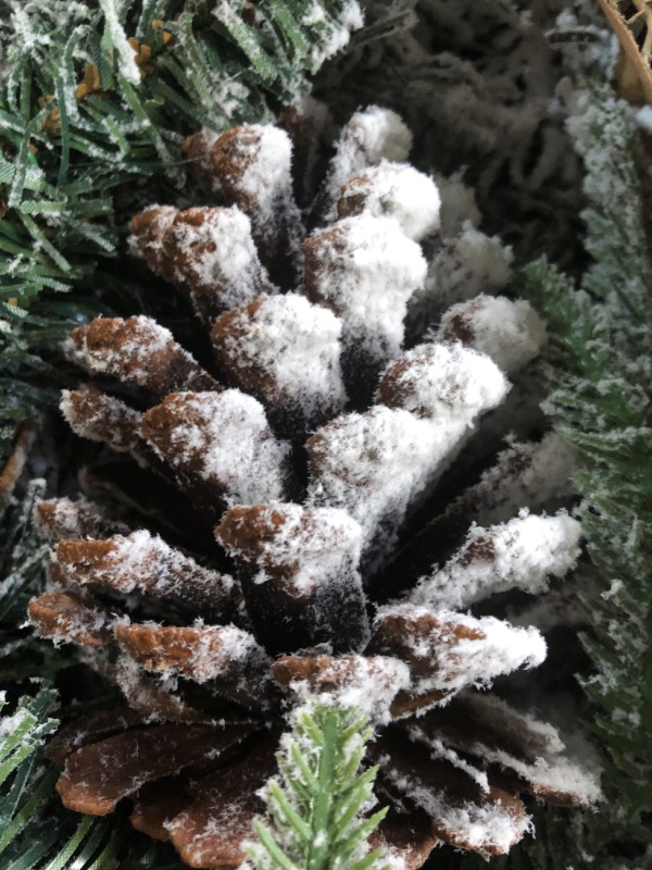 Photo 2 of (READ NOTES) 6ft. Flocked Artificial Christmas Garland with Pine Cones and 35 Warm White LED Lights,Green